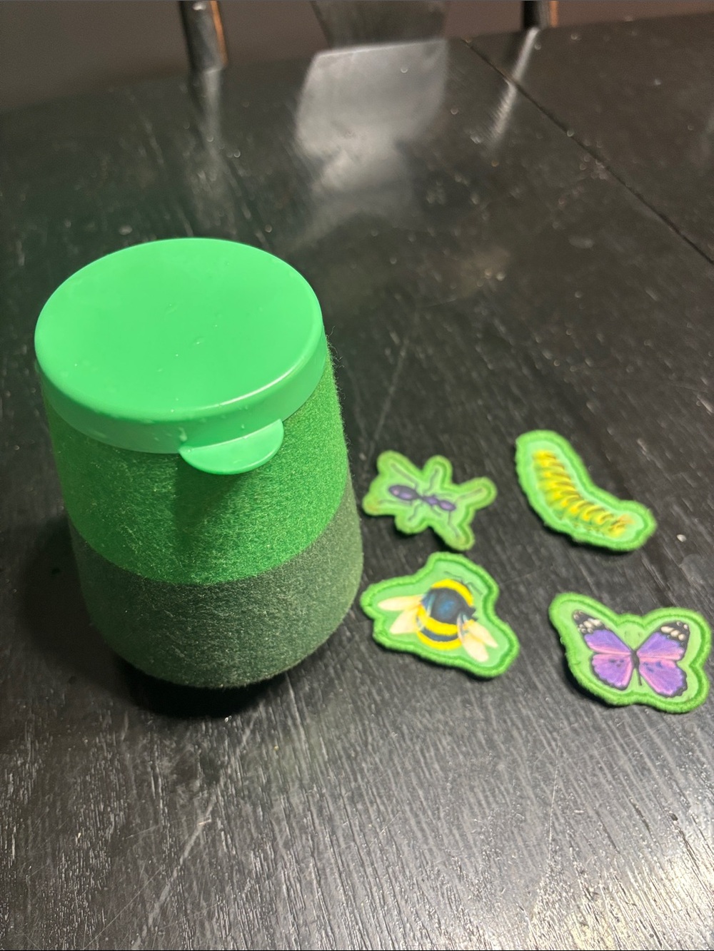 Lovevery bug catcher